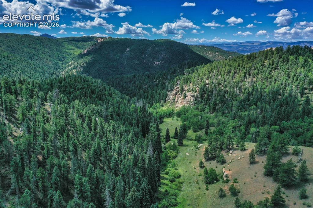 265 Homestead Road Divide, CO 80814 - Photo 3 of 50 Woodrock Area