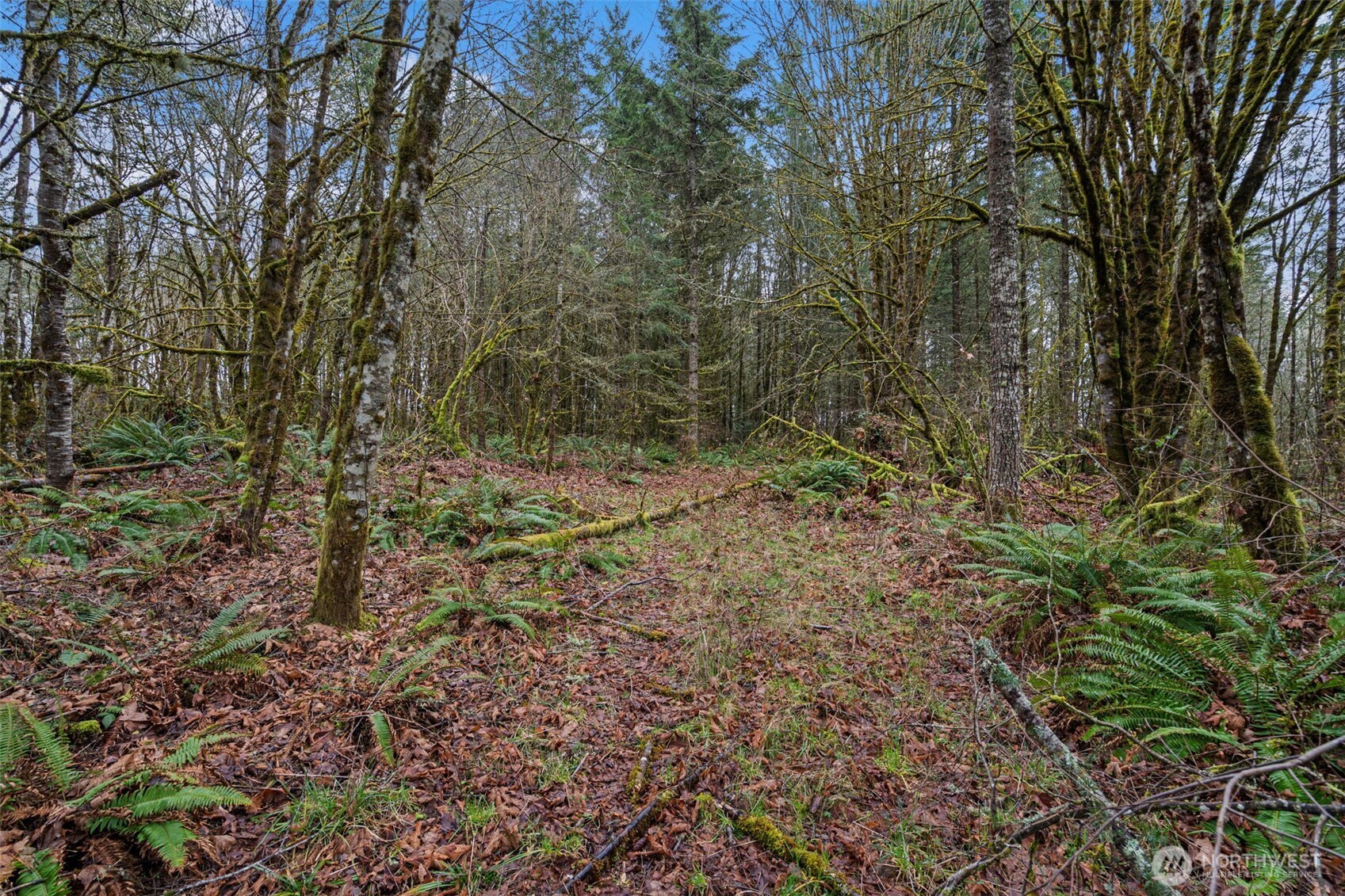 -end Of Smith Road Centralia, WA 98531 - Photo 11 of 20