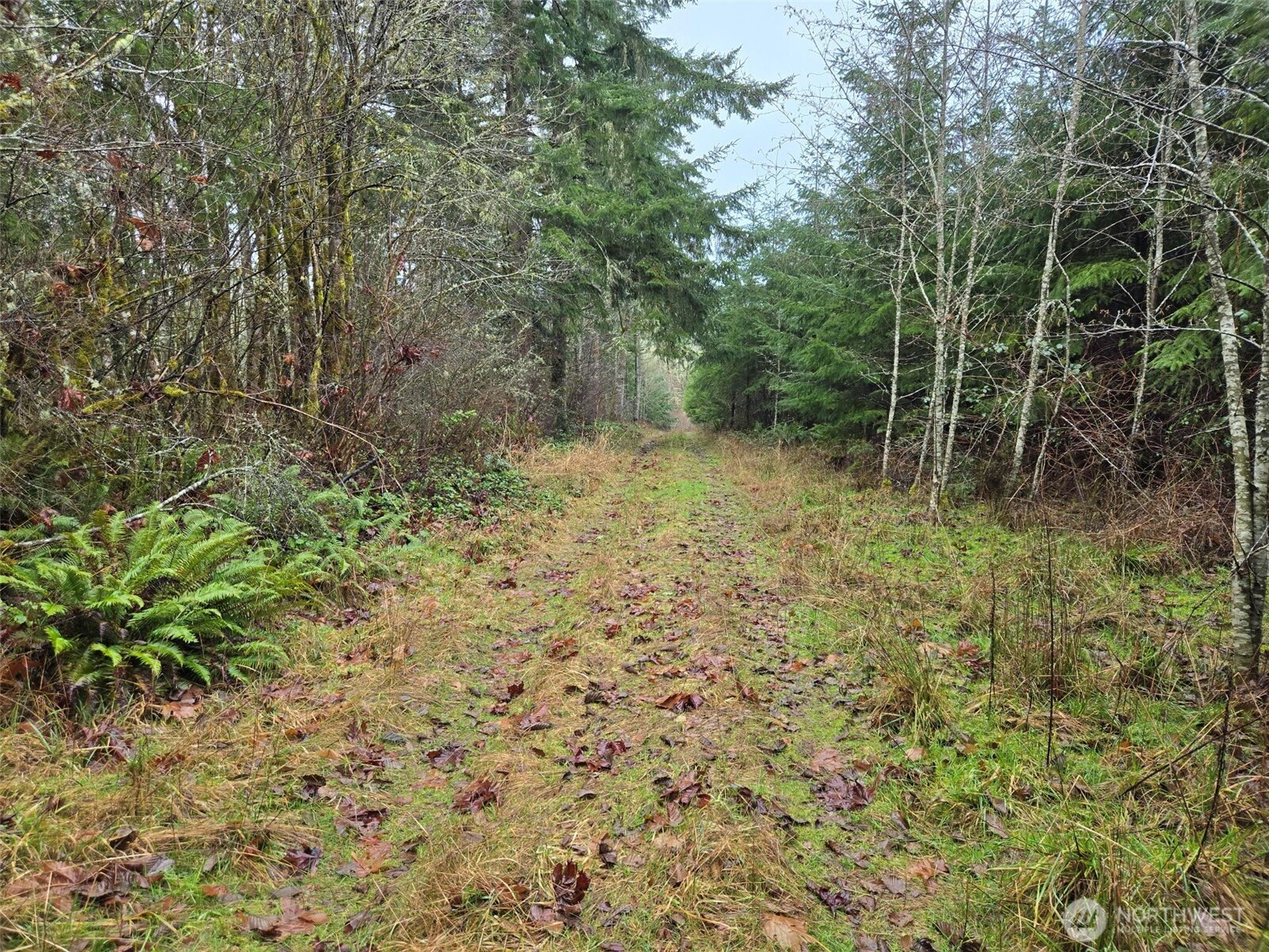 -end Of Smith Road Centralia, WA 98531 - Photo 12 of 20