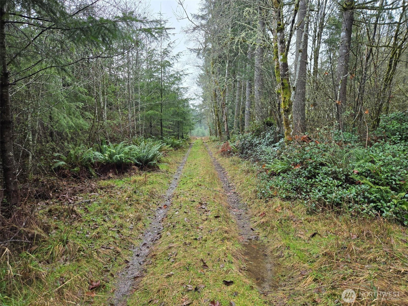 -end Of Smith Road Centralia, WA 98531 - Photo 13 of 20