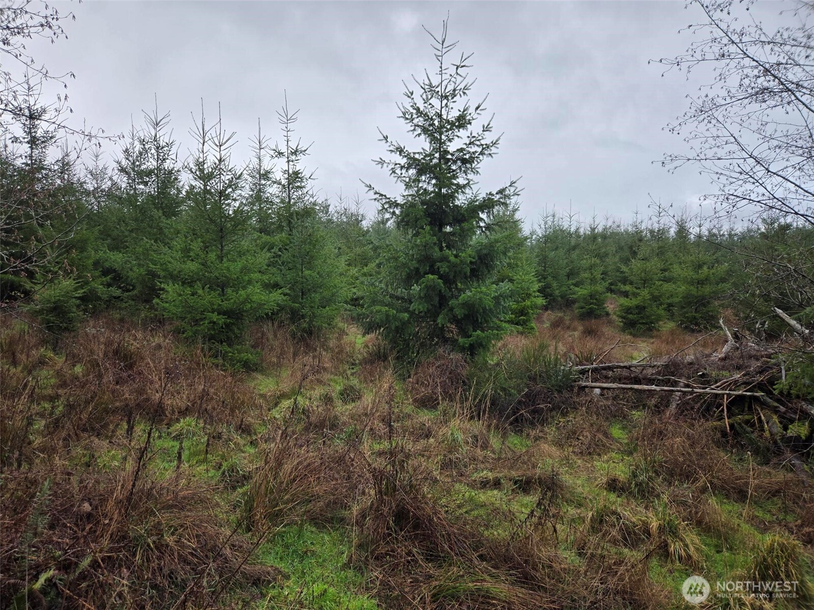 -end Of Smith Road Centralia, WA 98531 - Photo 14 of 20