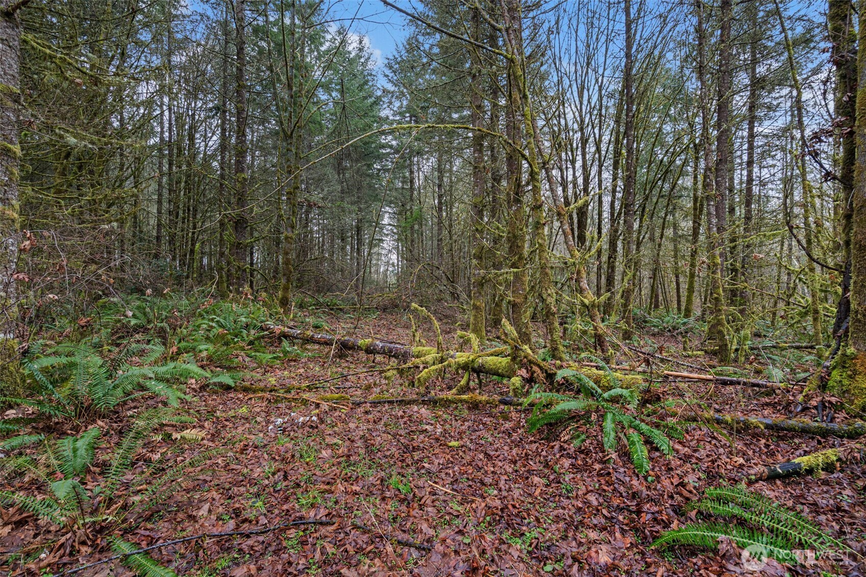 -end Of Smith Road Centralia, WA 98531 - Photo 15 of 20