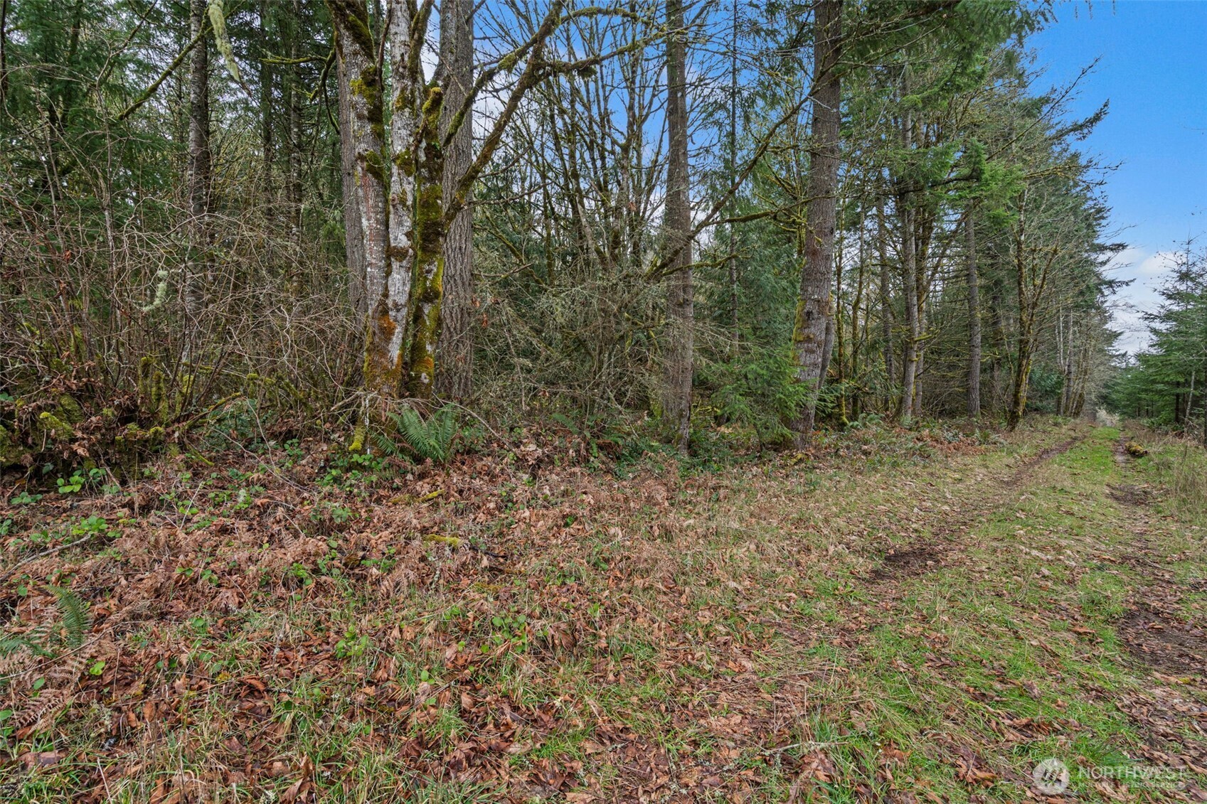 -end Of Smith Road Centralia, WA 98531 - Photo 16 of 20