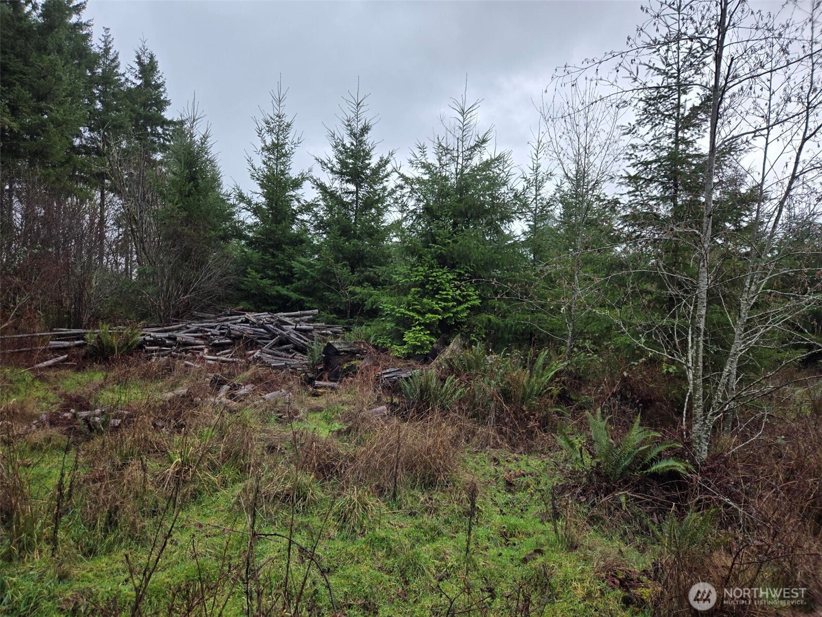 -end Of Smith Road Centralia, WA 98531 - Photo 17 of 20