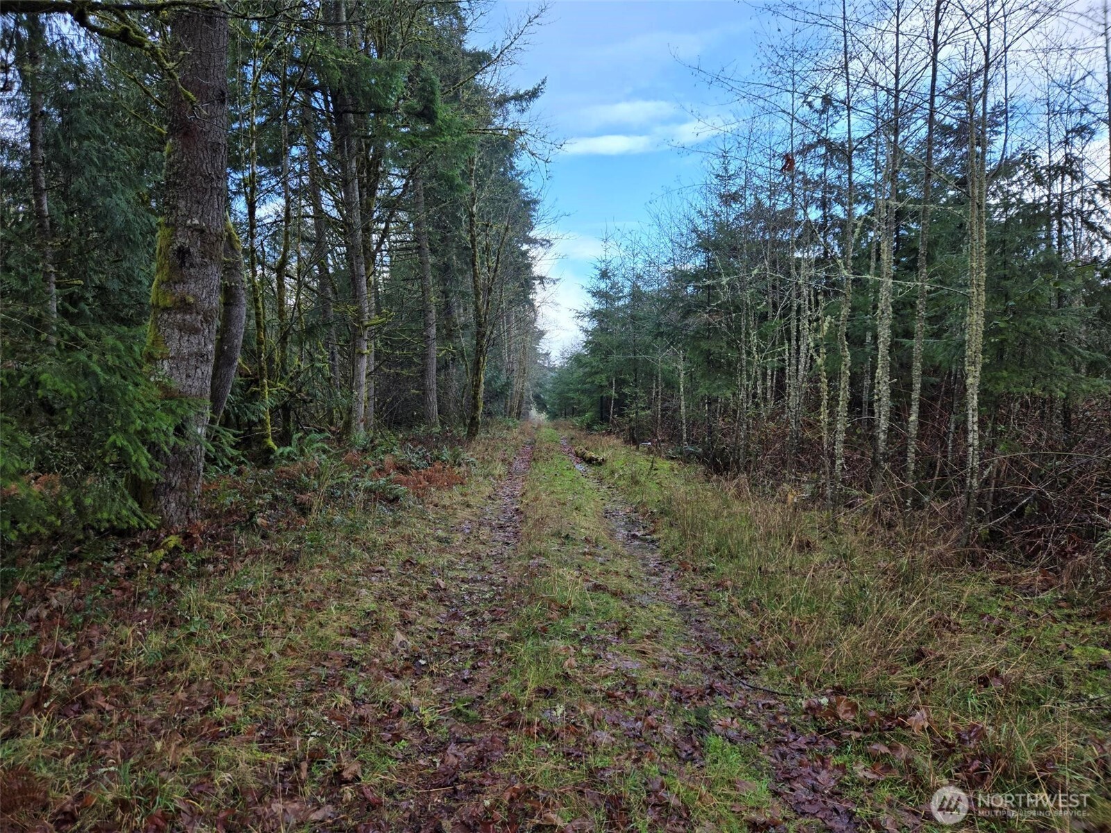 -end Of Smith Road Centralia, WA 98531 - Photo 19 of 20