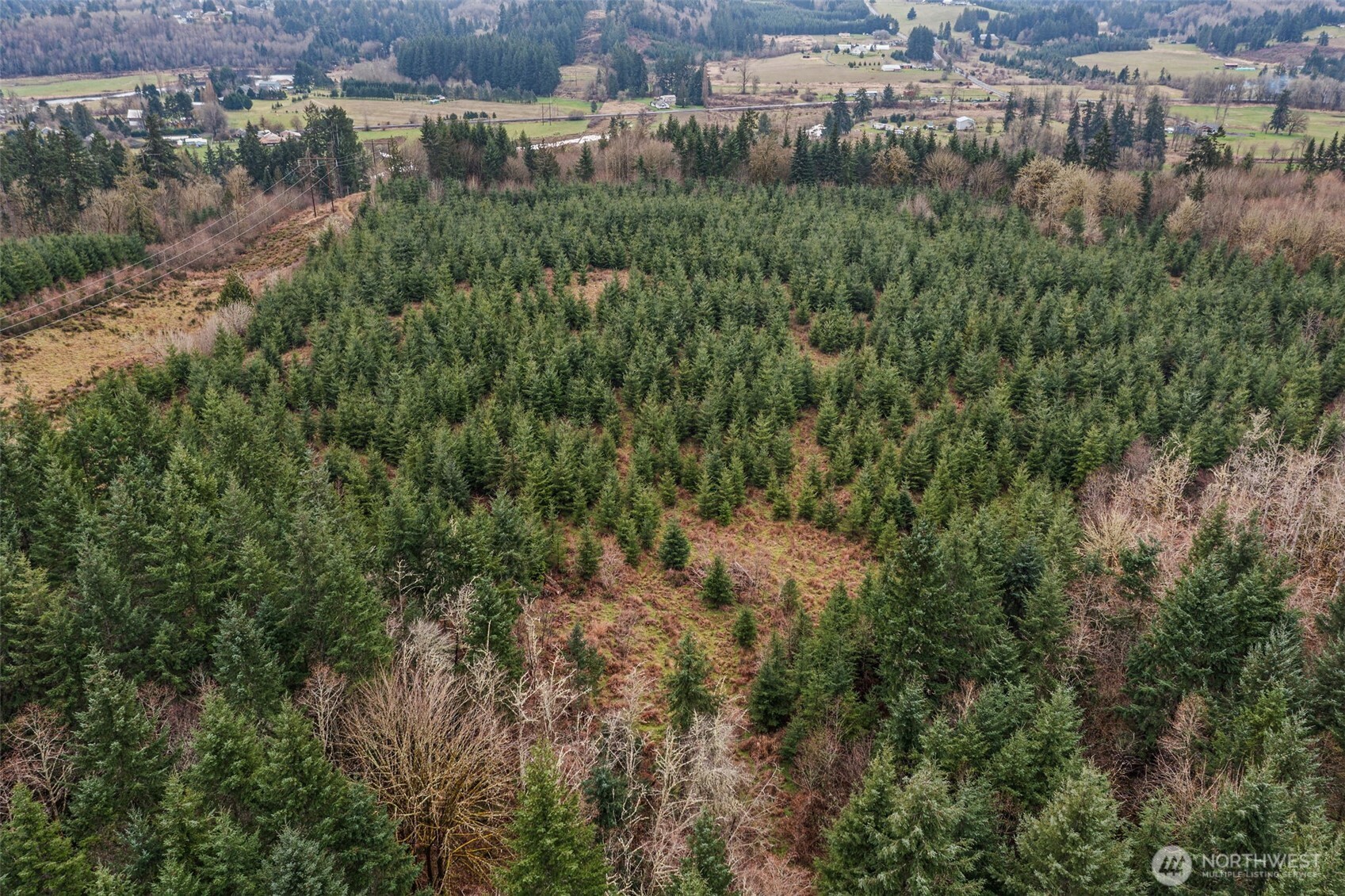 -end Of Smith Road Centralia, WA 98531 - Photo 2 of 20