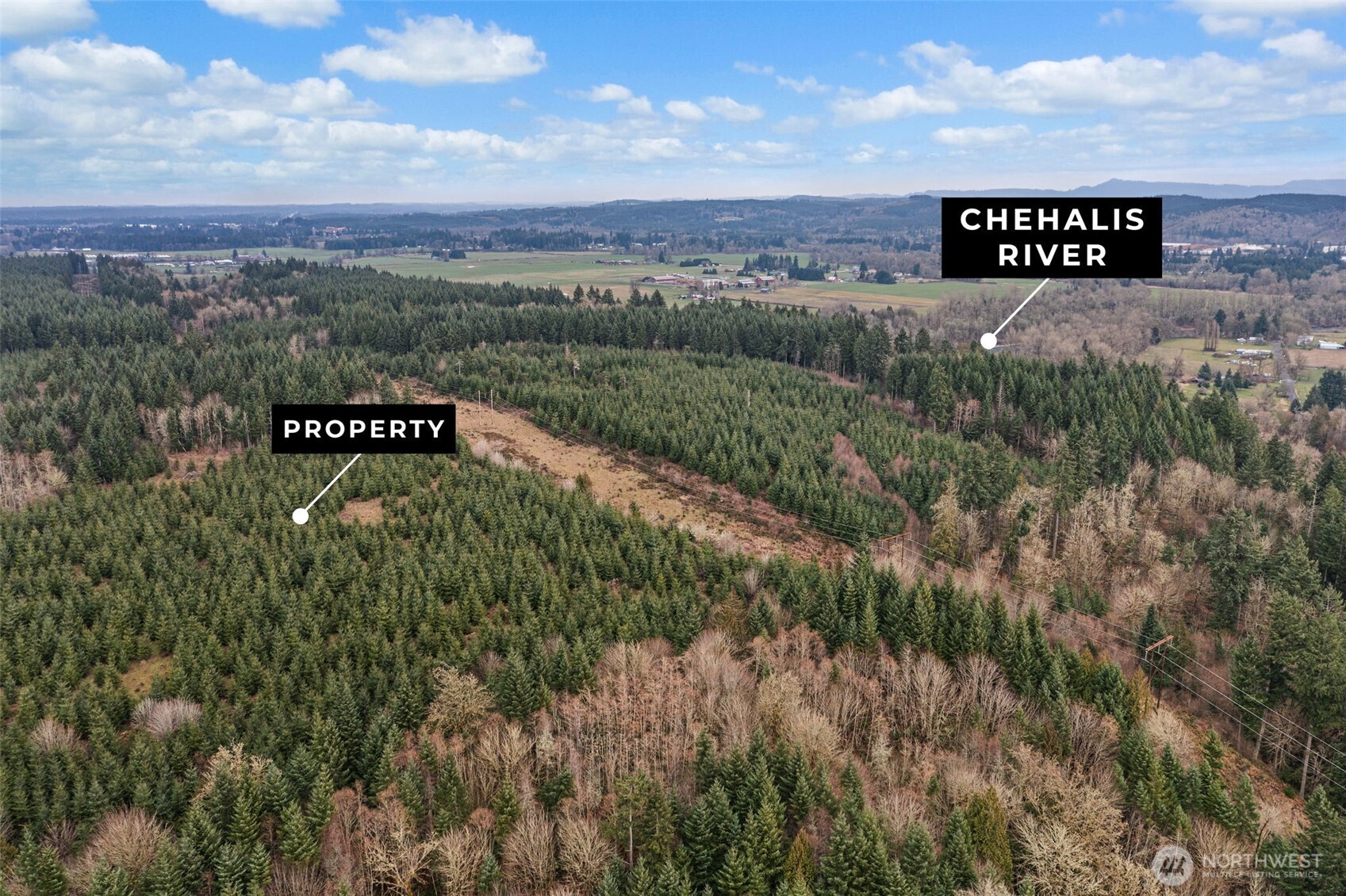 -end Of Smith Road Centralia, WA 98531 - Photo 4 of 20