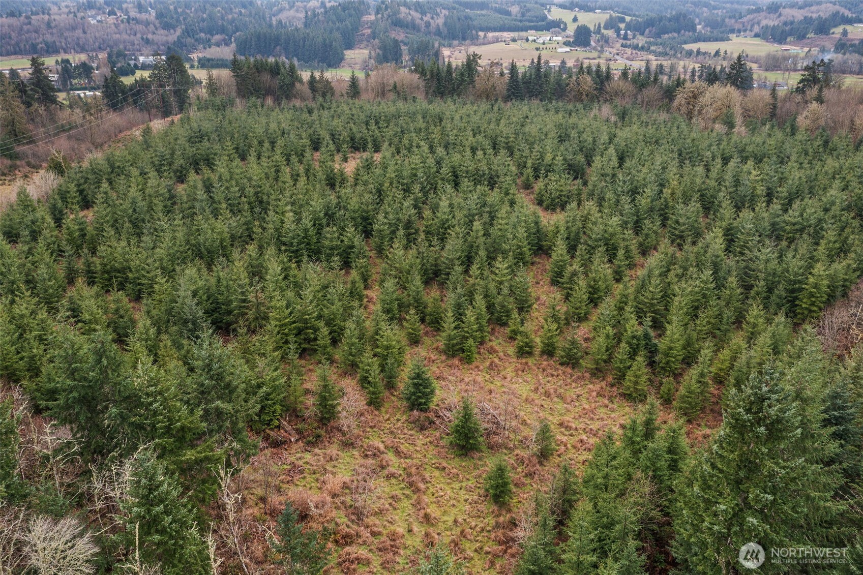 -end Of Smith Road Centralia, WA 98531 - Photo 5 of 20