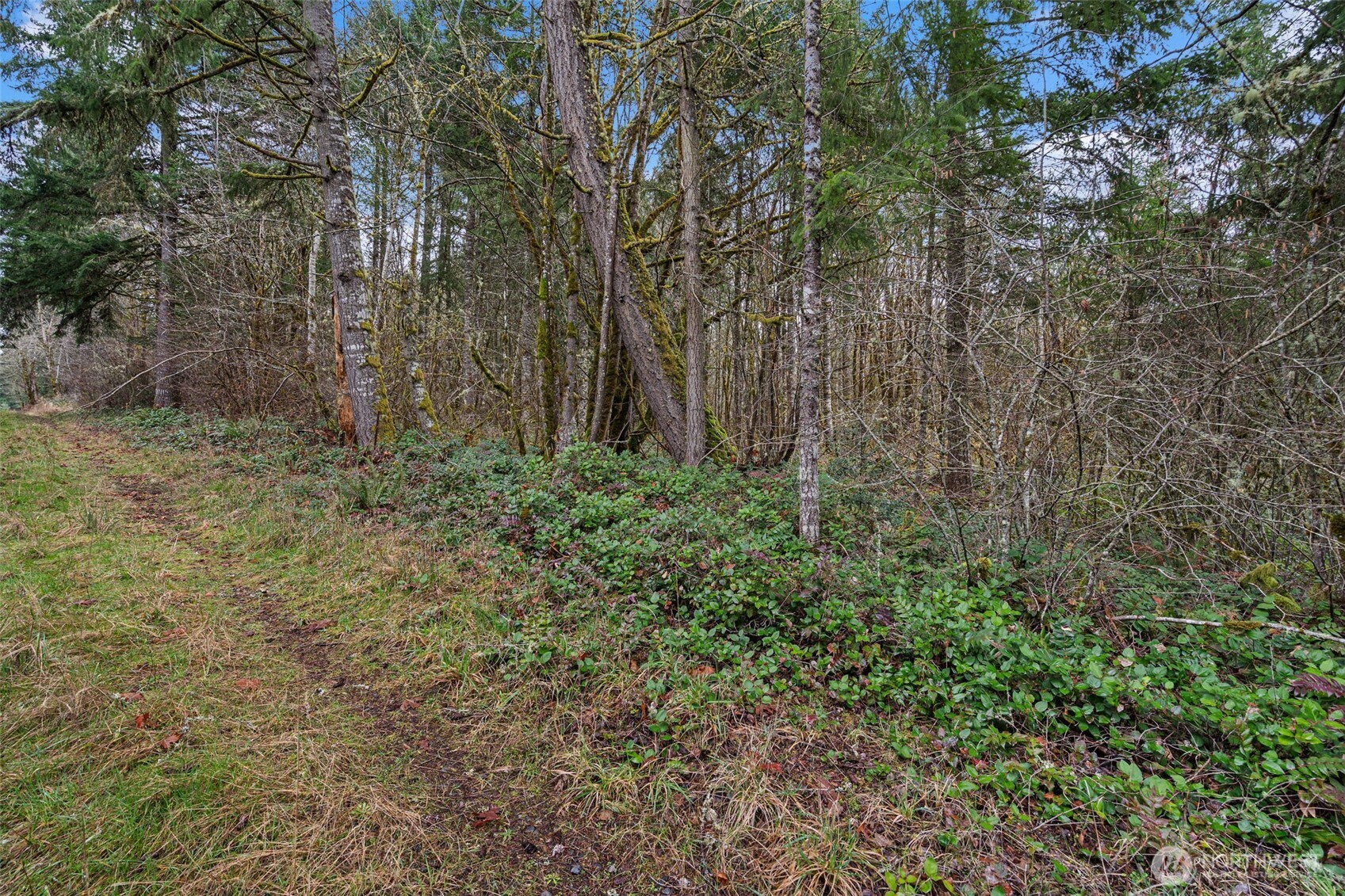 -end Of Smith Road Centralia, WA 98531 - Photo 7 of 20