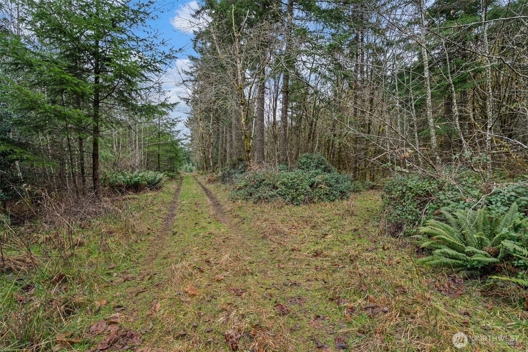 -end Of Smith Road Centralia, WA 98531 - Photo 8 of 20