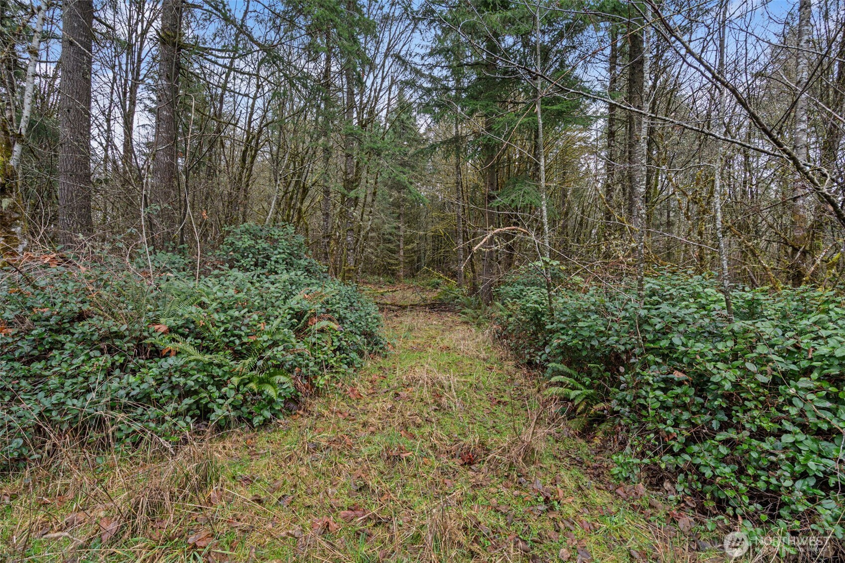 -end Of Smith Road Centralia, WA 98531 - Photo 9 of 20