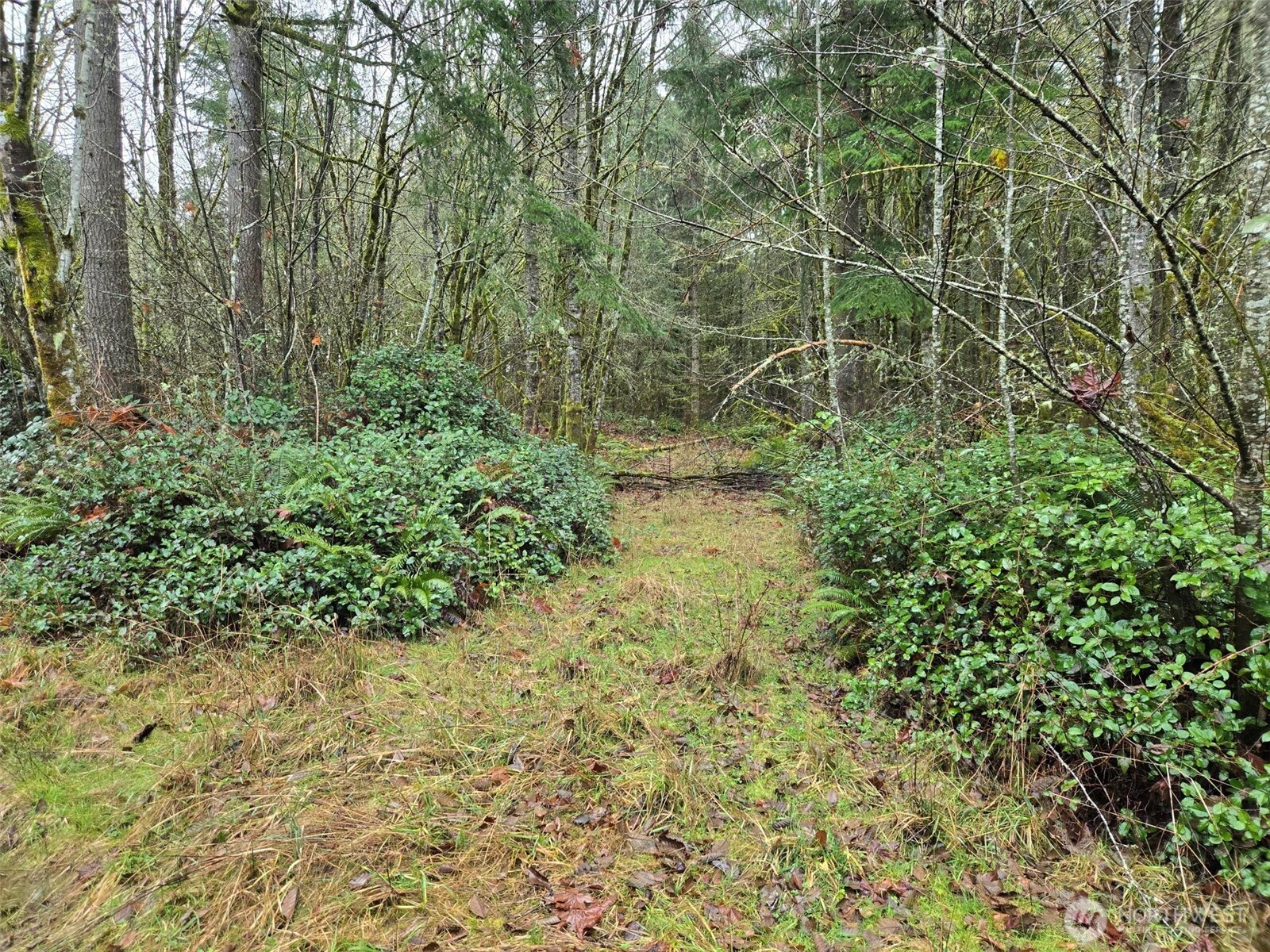 -end Of Smith Road Centralia, WA 98531 - Photo 10 of 20