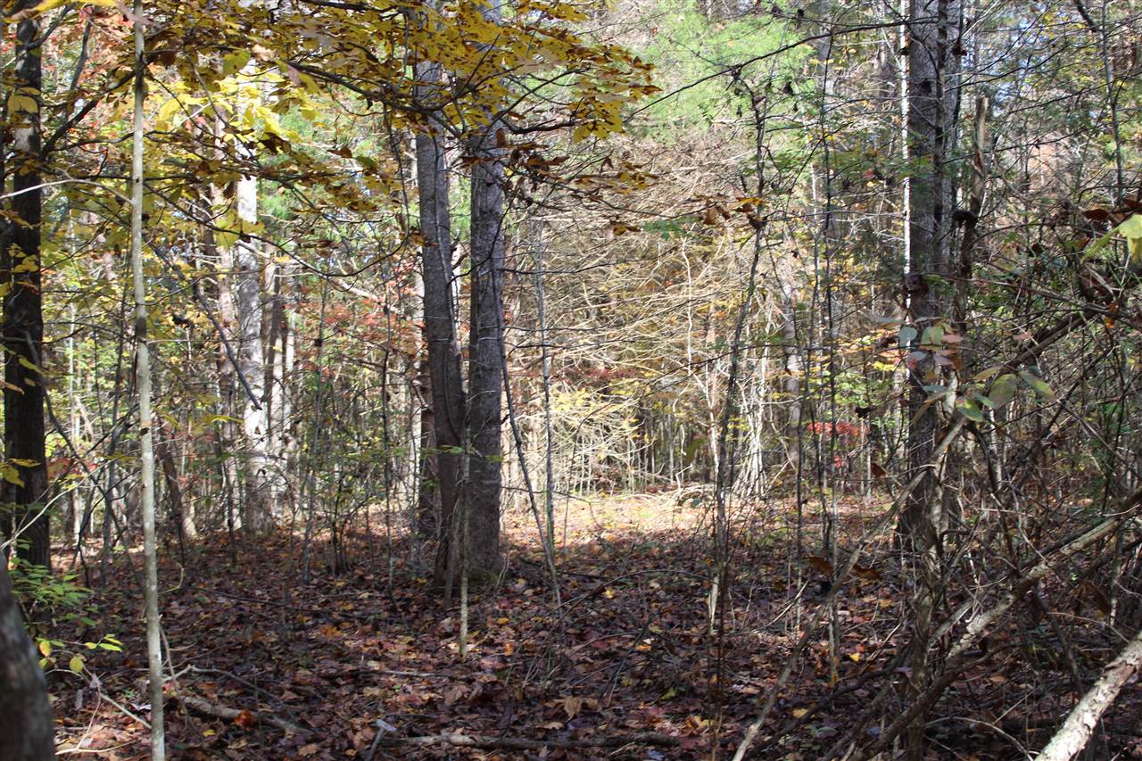 1 Gosser Ridge Road Russell Springs, KY 42642 - Photo 6 of 11 Gallery Image 6