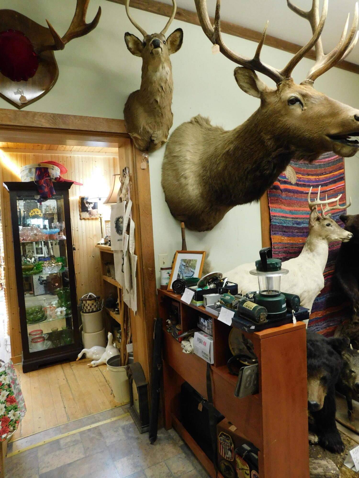 15 Moosehead Lake Road Greenville, ME 04441 - Photo 9 of 28 DSCN9217