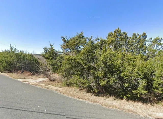 a view of a yard with a tree