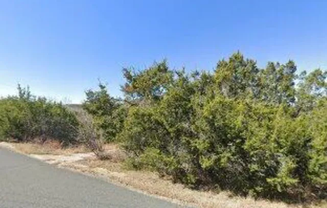 a view of a yard with a tree