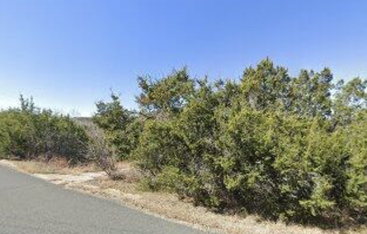 21452 Creekside Drive Leander, TX 78641 - Photo 5 of 5 a view of a yard with a tree