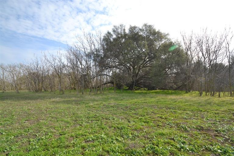 0 Watts Valley Road Clovis, CA 93619 - Photo 9 of 23 Gallery Image 9