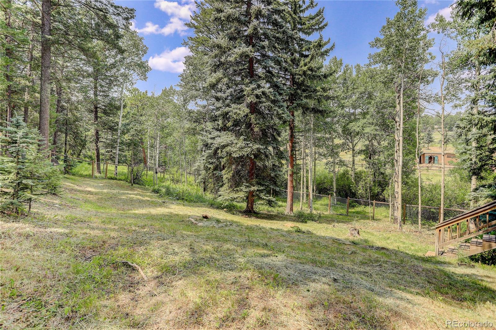 11 Ranch Trail Evergreen, CO 80439 - Photo 30 of 32