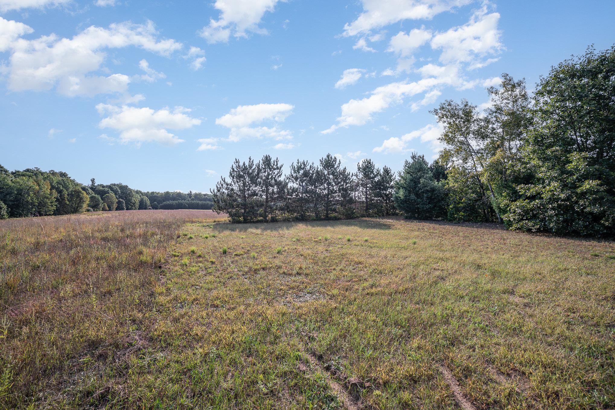Tbd South Littlefield Road Blanchard, MI 49310 - Photo 3 of 8