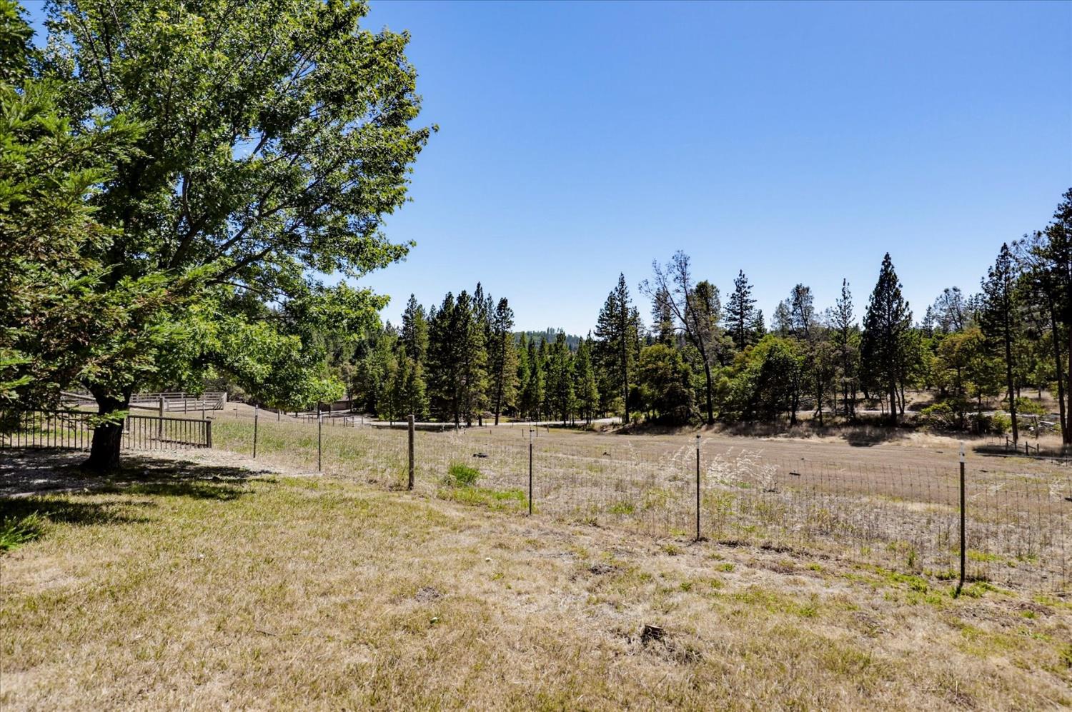 12816 Jones Bar Road Nevada City, CA 95959 - Photo 54 of 57