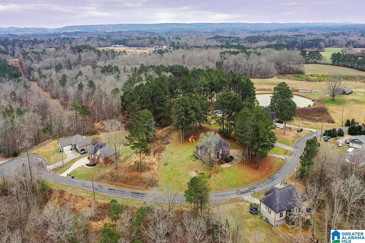 92 Hidden Oaks Lane Cleveland, AL 35049 - Photo 42 of 44