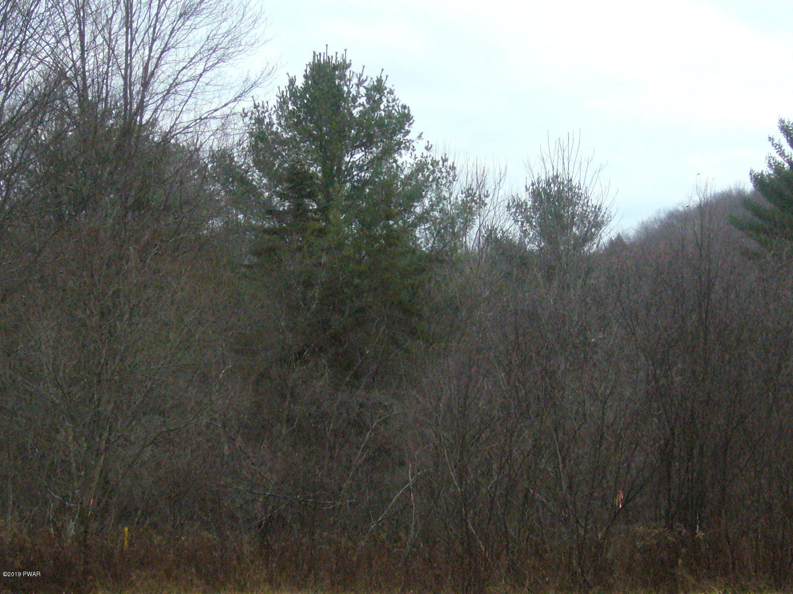 Simpson Road Lakewood, PA 18439 - Photo 13 of 14