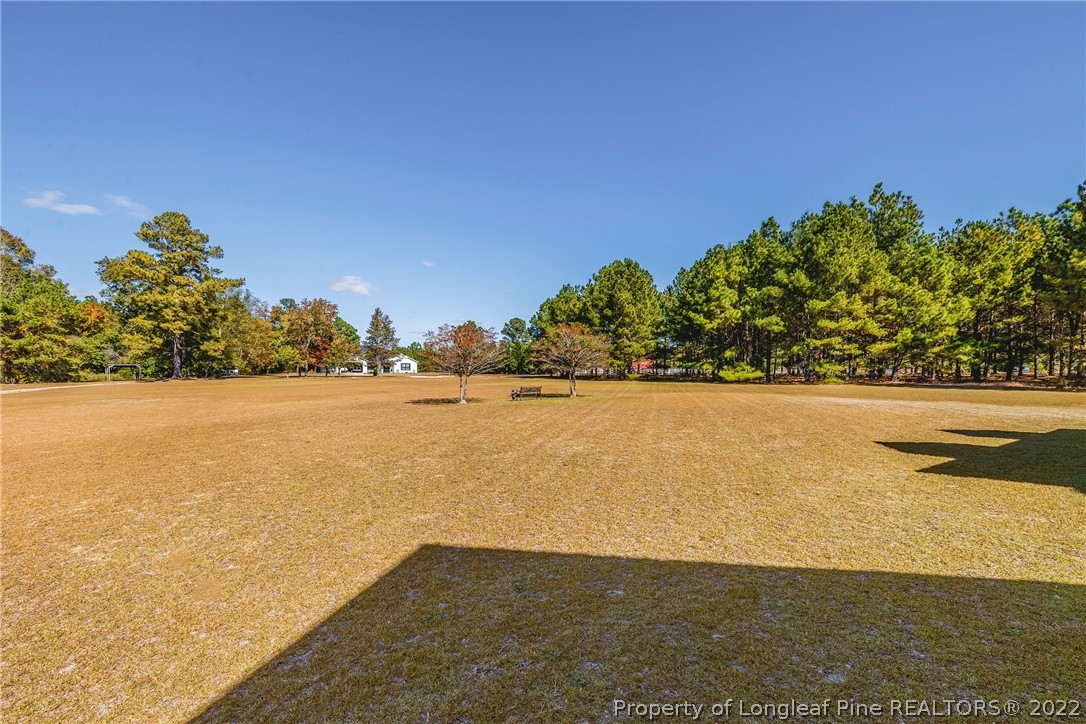 6824 Chatsworth Road Stedman, NC 28391 - Photo 33 of 34 Gallery Image 33