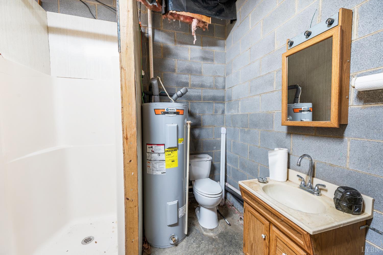 1650 Izaak Walton Road Madison Heights, VA 24572 - Photo 34 of 50