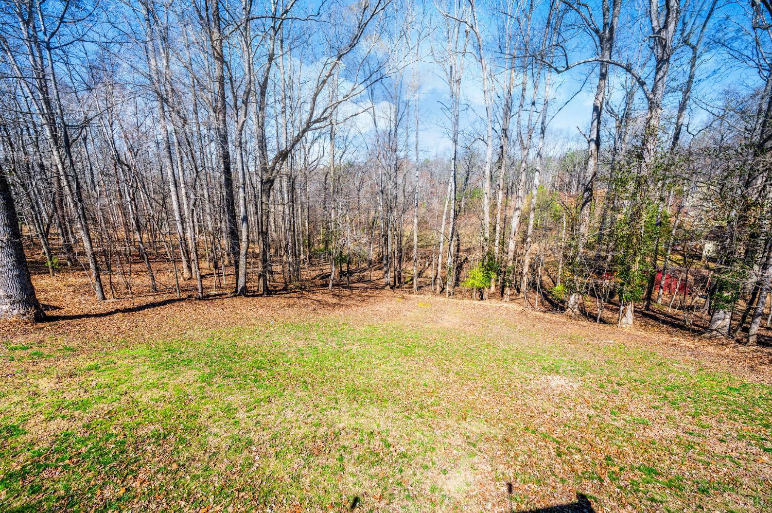 1650 Izaak Walton Road Madison Heights, VA 24572 - Photo 45 of 50