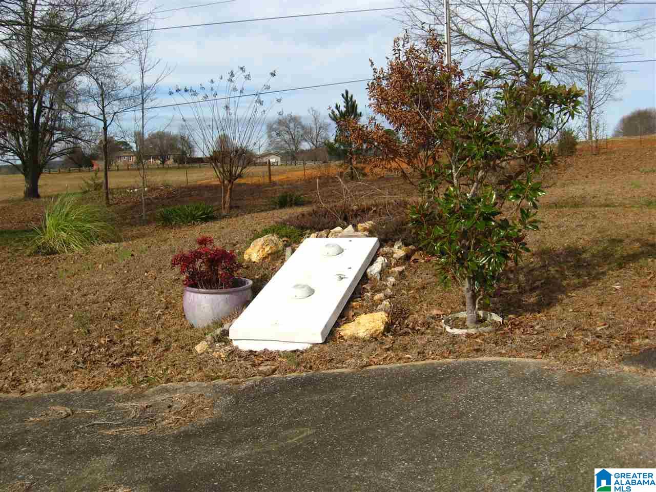 1585 Peaceful Valley Road Eastaboga, AL 36260 - Photo 6 of 6