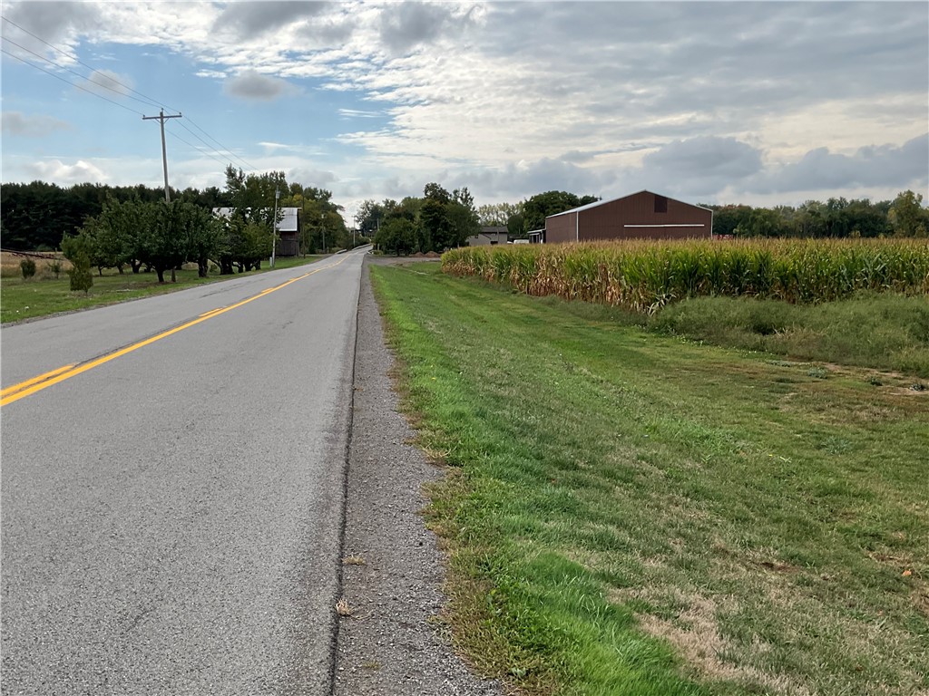 Densmore Road Albion, NY 14411 - Photo 3 of 6 Looking south from in front of the property.