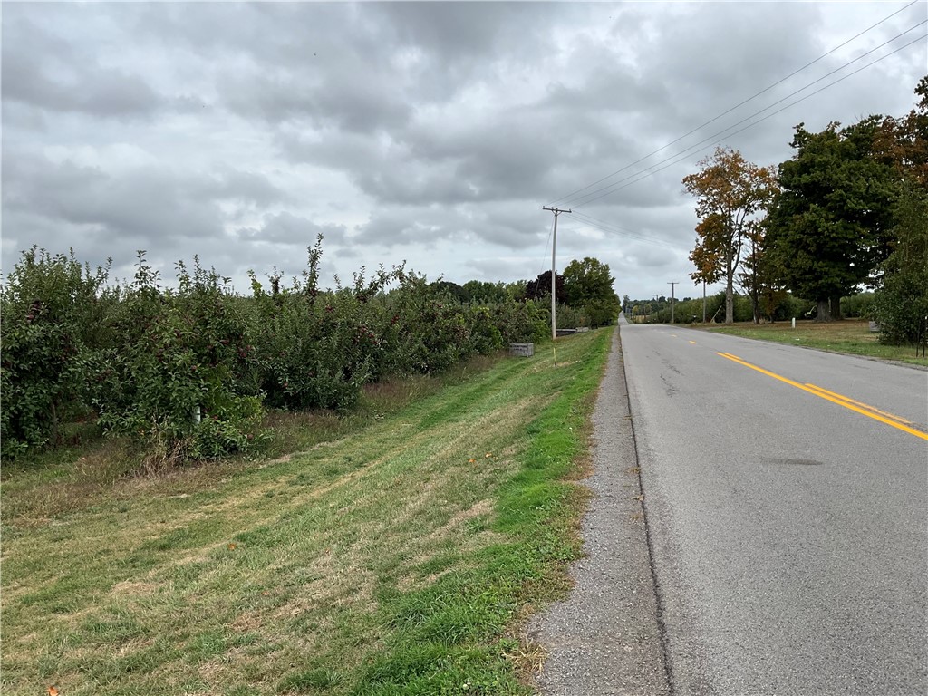 Densmore Road Albion, NY 14411 - Photo 5 of 6 A view along the road showing the frontage on the