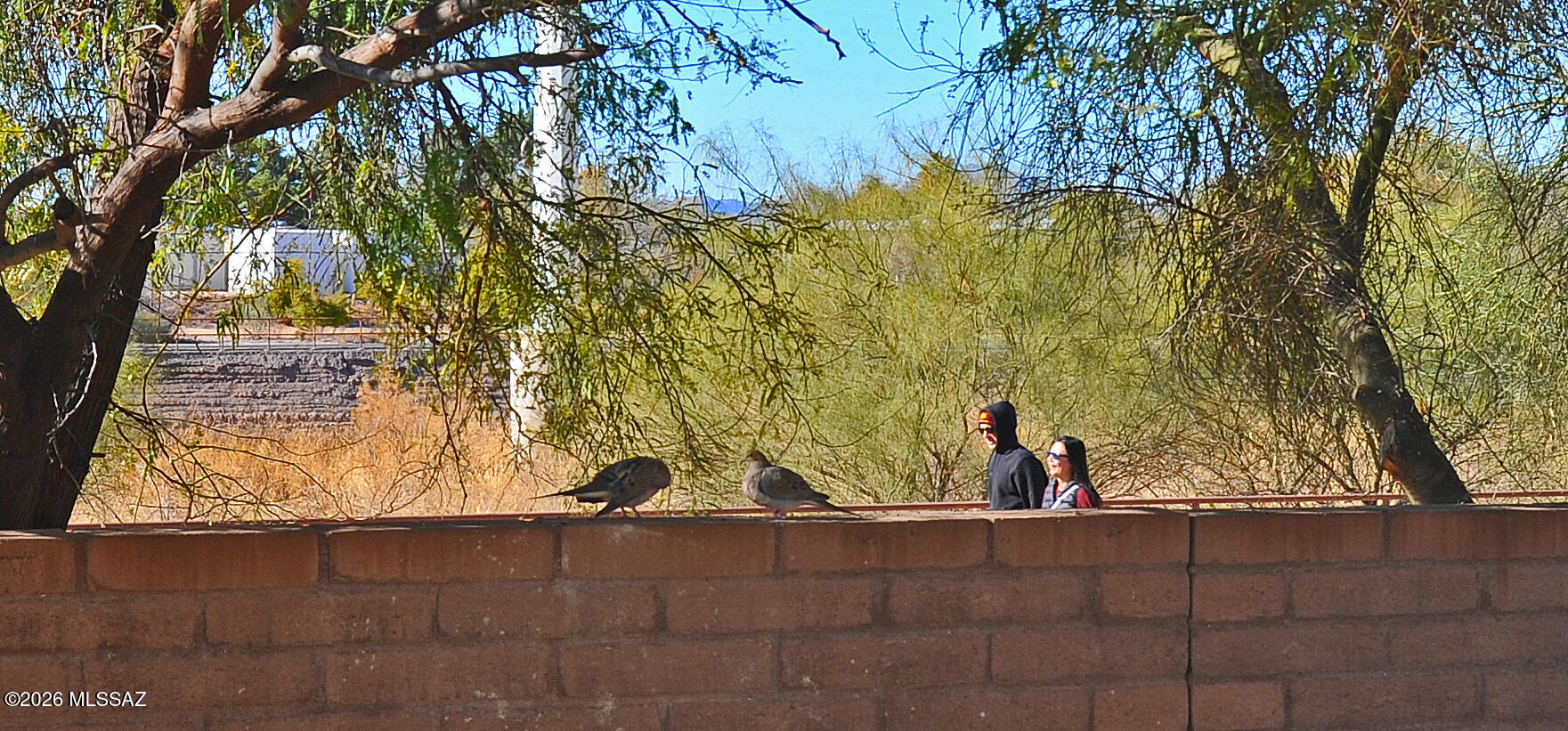 2040 East River Road, Unit 205 Tucson, AZ 85718 - Photo 30 of 33