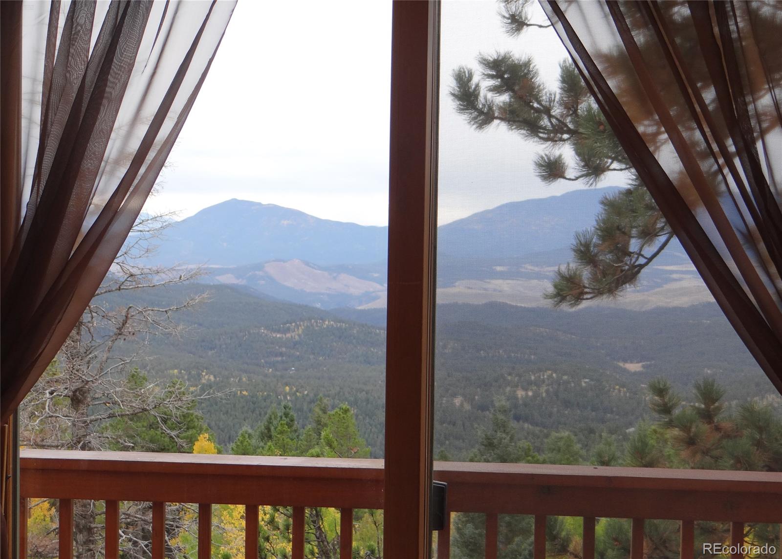 11760 Baca Road Conifer, CO 80433 - Photo 14 of 24 a view of a window with a tree in a yard