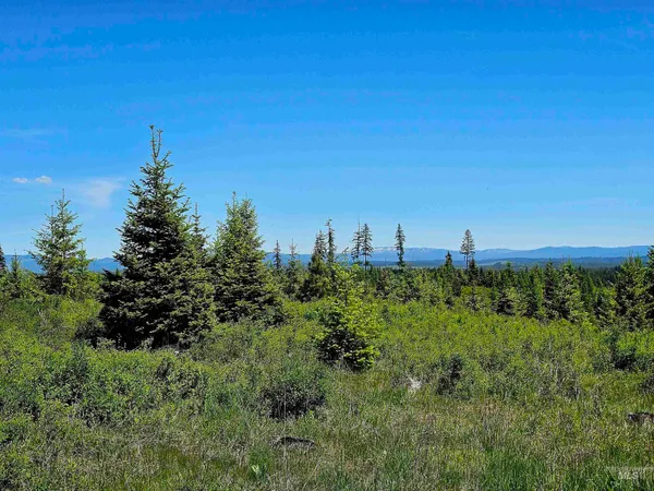 $235,100 | 0 Timberline Heights, Weippe, ID 83553