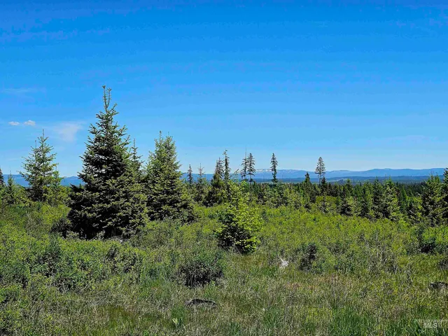 $235,100 | 0 Timberline Heights, Weippe, ID 83553