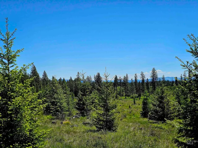 $235,100 | 0 Timberline Heights, Weippe, ID 83553