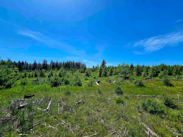 $235,100 | 0 Timberline Heights, Weippe, ID 83553