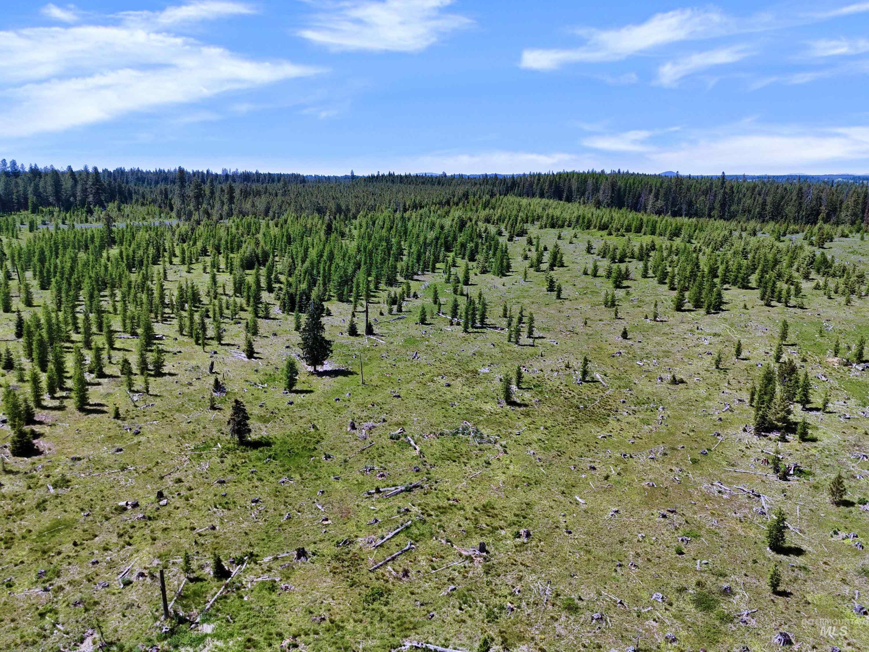 0 Timberline Heights Weippe, ID 83553 - Photo 13 of 16 Drone / aerial view of a heavily wooded area