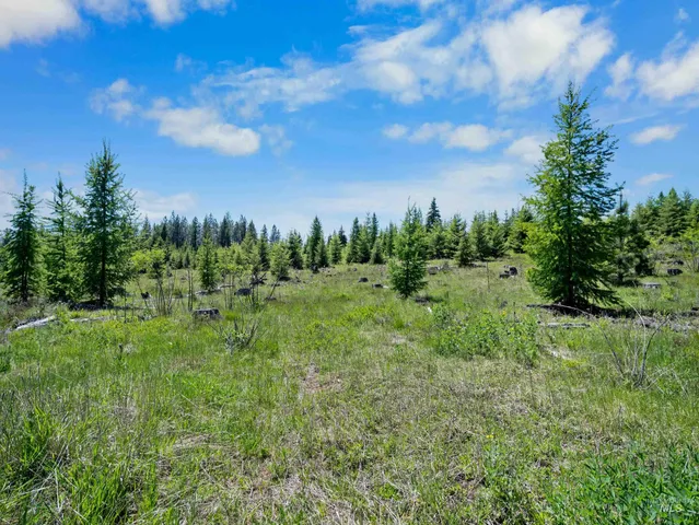 $235,100 | 0 Timberline Heights, Weippe, ID 83553