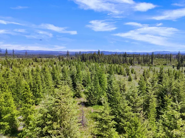 $235,100 | 0 Timberline Heights, Weippe, ID 83553