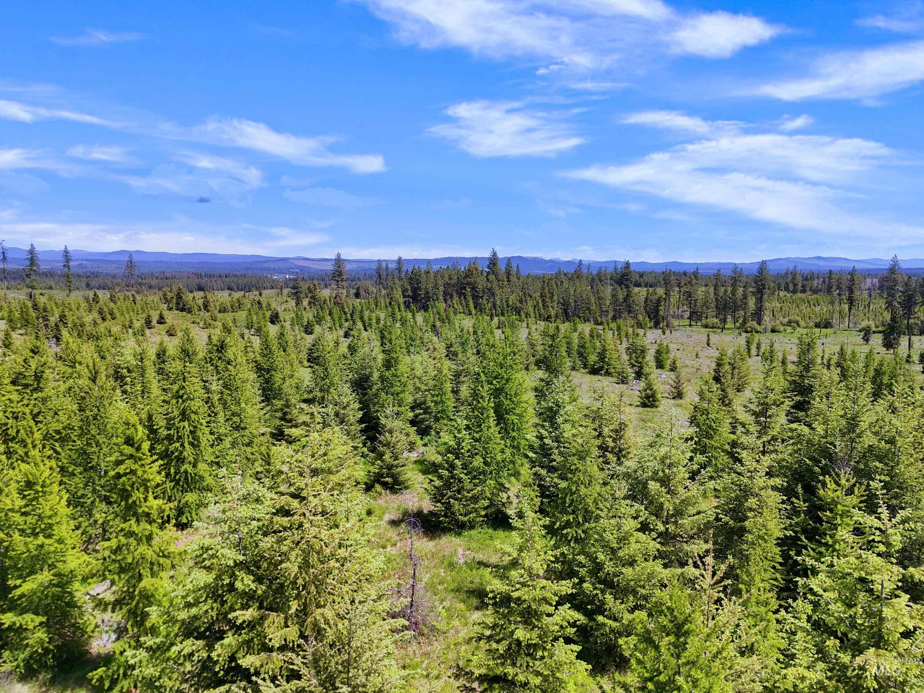 0 Timberline Heights Weippe, ID 83553 - Photo 16 of 16 Drone / aerial view of mountains
