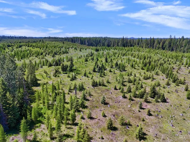 $235,100 | 0 Timberline Heights, Weippe, ID 83553