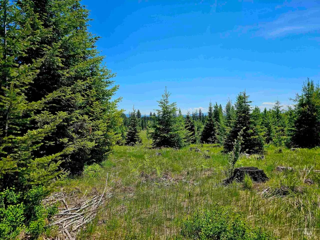 $235,100 | 0 Timberline Heights, Weippe, ID 83553