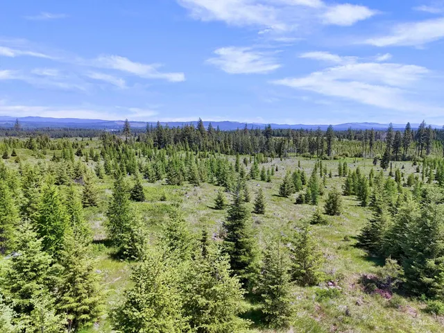 $235,100 | 0 Timberline Heights, Weippe, ID 83553