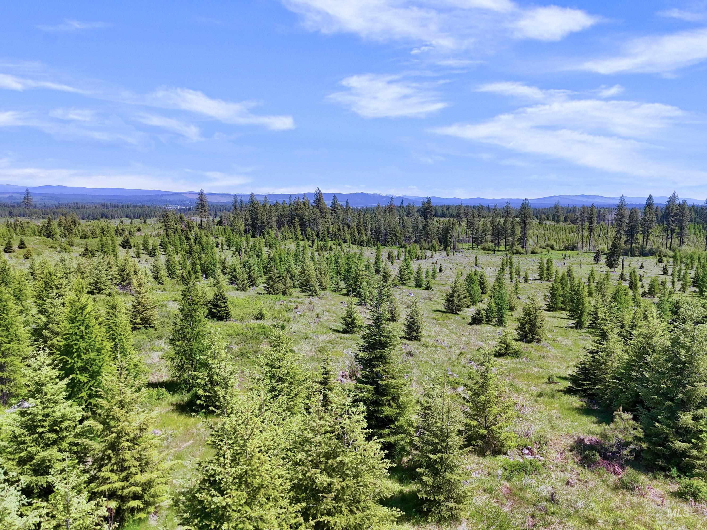 0 Timberline Heights Weippe, ID 83553 - Photo 7 of 16 Drone / aerial view of a mountainous background