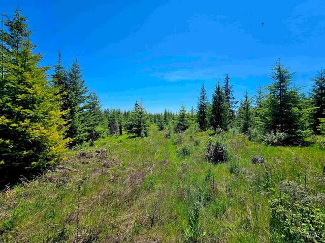 $235,100 | 0 Timberline Heights, Weippe, ID 83553