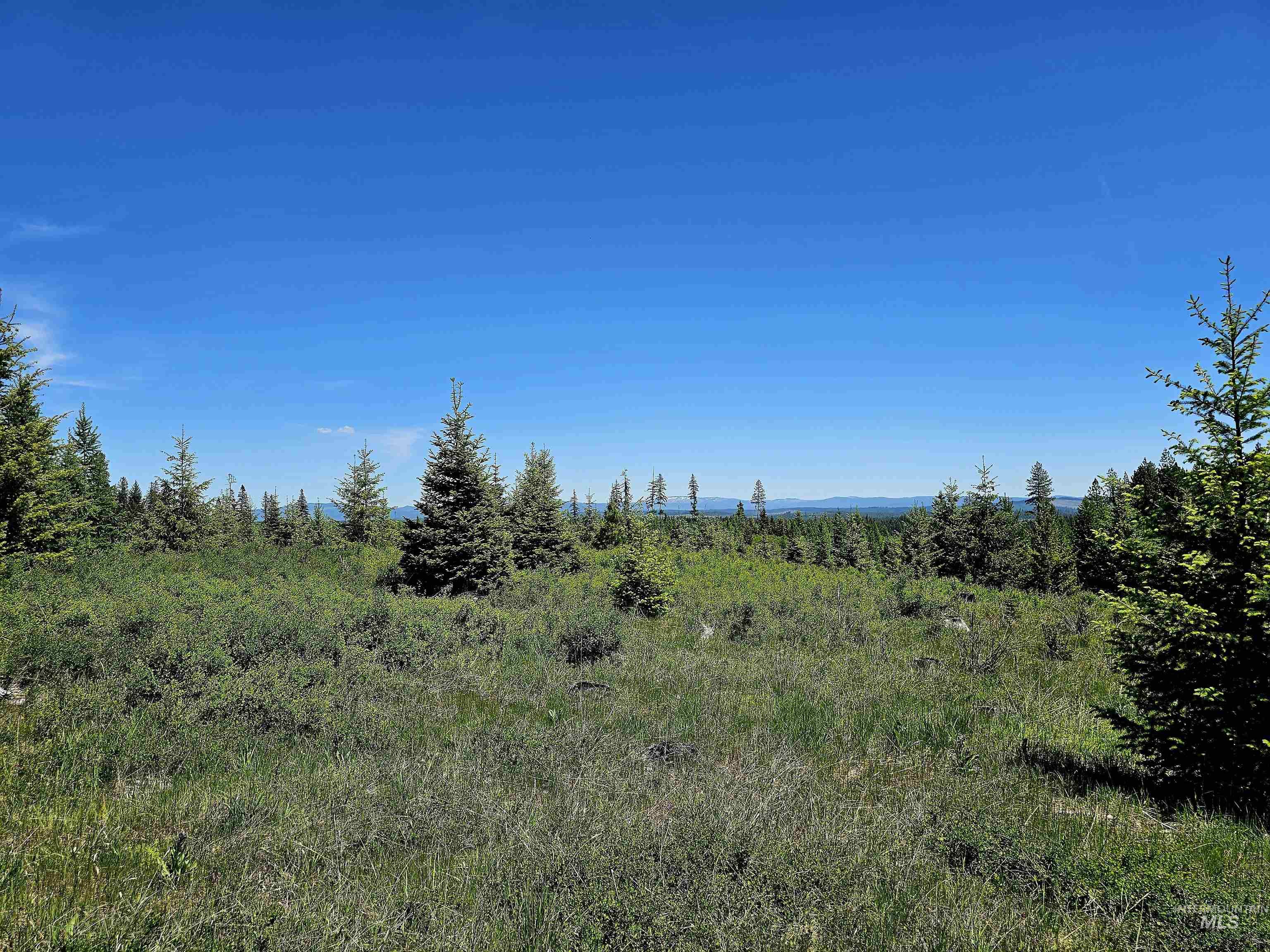 0 Timberline Heights Weippe, ID 83553 - Photo 10 of 16 View of local wilderness