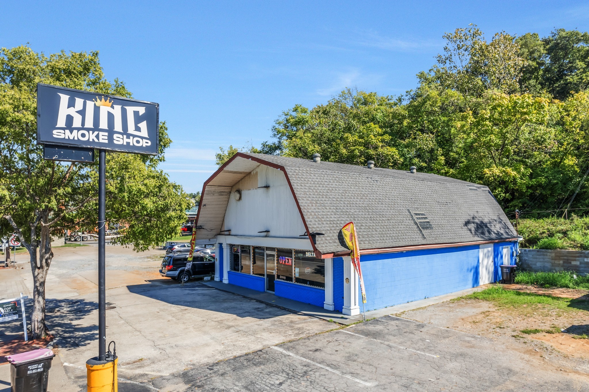 207 North Riverside Drive Clarksville, TN 37040 - Photo 9 of 29 a view of a house with backyard and a tree